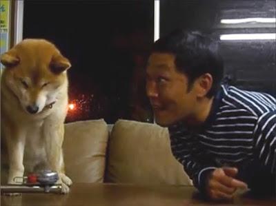 Viral Video Shows DOG Rejecting His Owner's Affection!