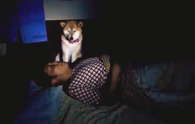 Viral Video Shows DOG Rejecting His Owner's Affection!