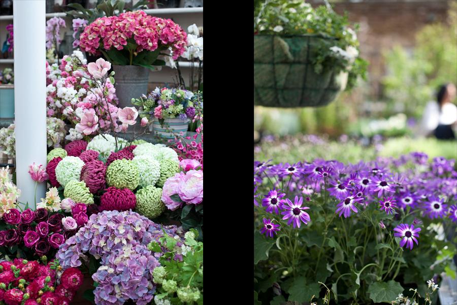 Clifton Nurseries - Flower arrangements & violets