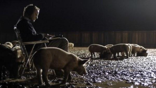 upstream-color-pigs-the-sampler-620x-e1366583096499