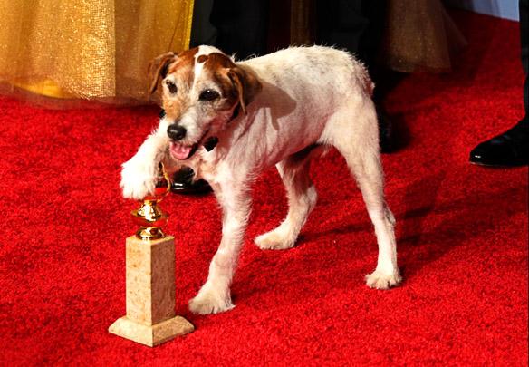Famous Dogs from TV, Film, YouTube and More!