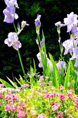 Oh, Blogger, Oh May!