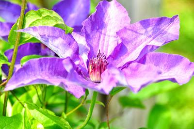 Oh, Blogger, Oh May!