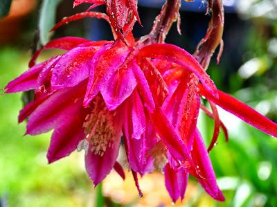 Oh, Blogger, Oh May!