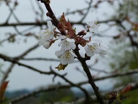 140/365 And down on the farm today...