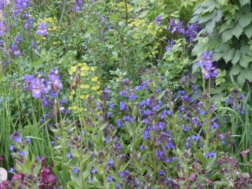 cool shades of blue mixed with greens