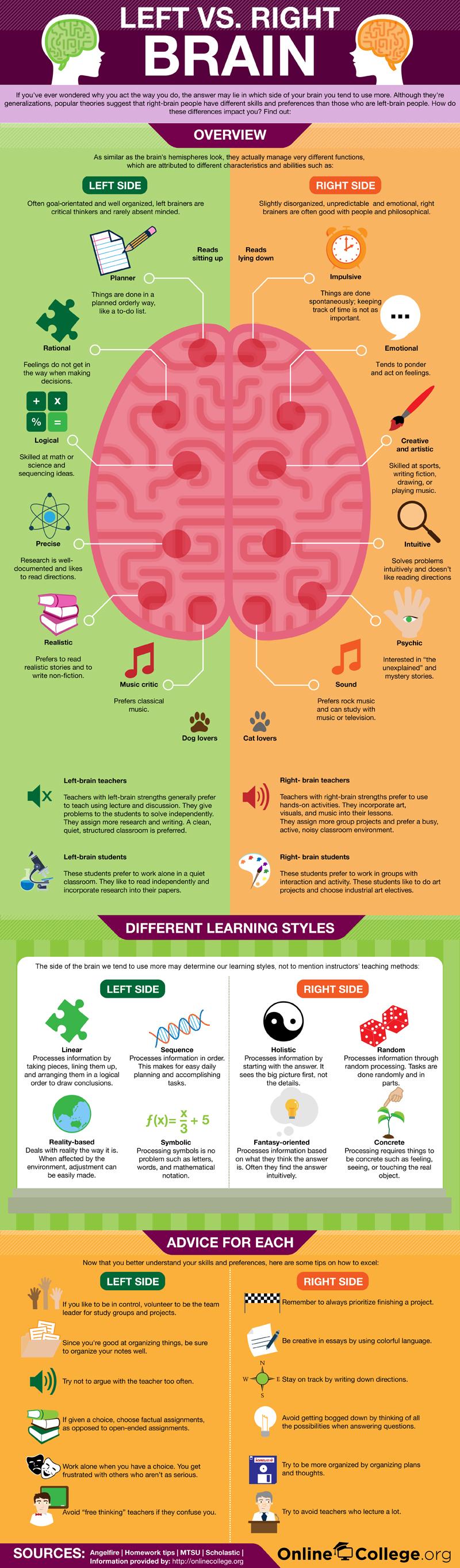 Are You Left or Right Brain?