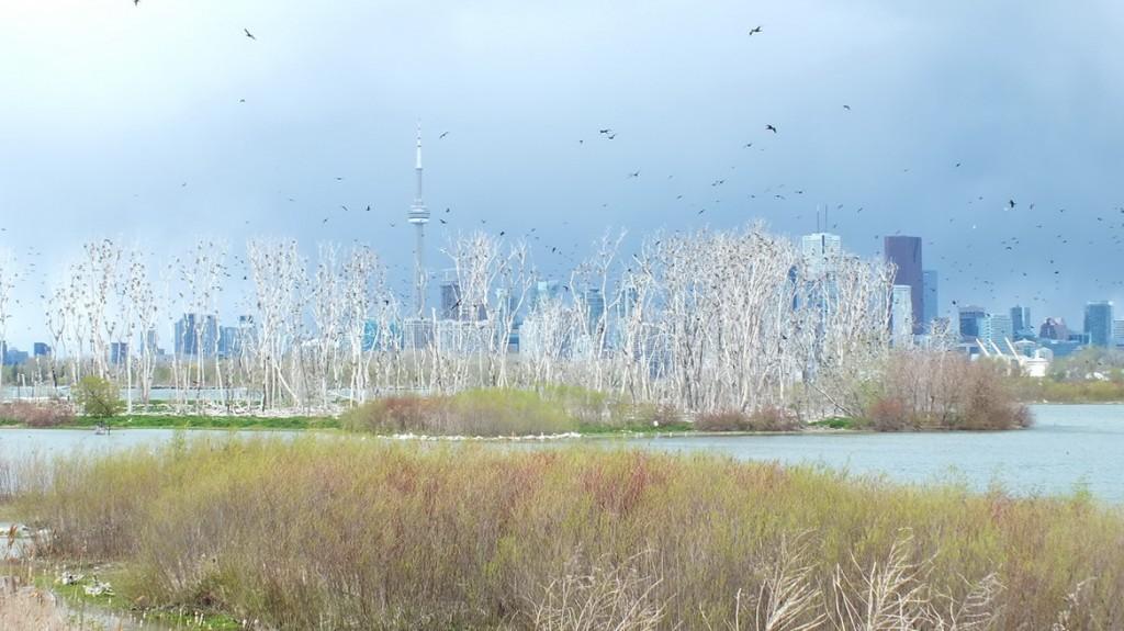 toronto skyline from tommy thompson park - storm clouds - may 12 2013