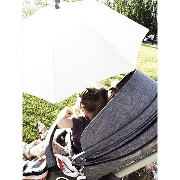 Insta-bits of little life