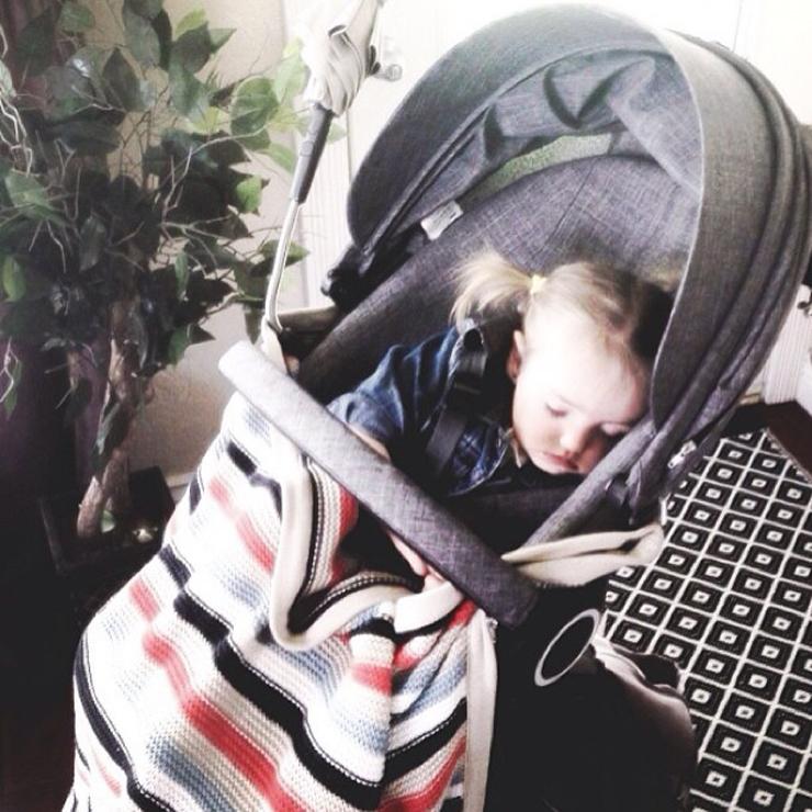 Insta-bits of little life