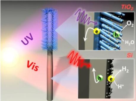 Schematic shows TiO2 nanowires (blue) grown on the upper half of a Si nanowire (gray) and the two absorbing different regions of the solar spectrum. Insets display photoexcited electron−hole pairs separated at the semiconductor-electrolyte interface to carry out water splitting with the help of co-catalysts (yellow and gray dots). (Сredit: )