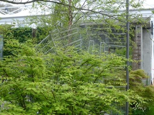 climbers could grow up this deconstructed trolley