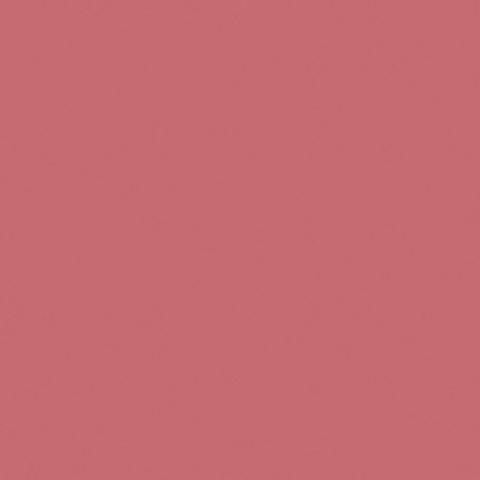 Pink Salmon by Glidden