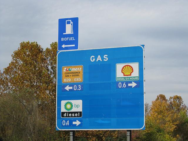 Biodiesel fuel pump