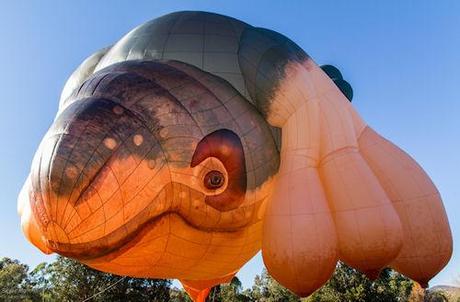 Skywhale Rises Over Australia