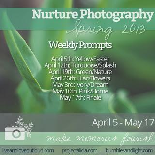 Birch trees in spring {Nurture Photography Finale}