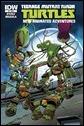 Teenage Mutant Ninja Turtles New Animated Adventures #2