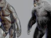 Danny Vendramini Neanderthal: Profile Super Predator