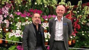 First awards given at the 100th Chelsea Flower Show