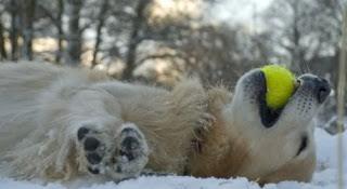 Work is Kicking my Butt