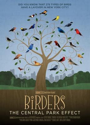 Birders: The Central Park Effect