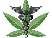 More Medical Uses Marijuana Found