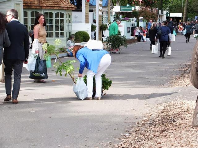 Chelsea 2013: Plant Sell Off