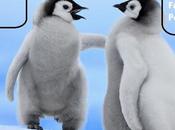 Google Penguin2.0 Released with Mixed Responses