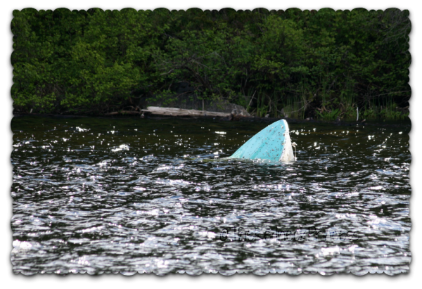 Sunken boat