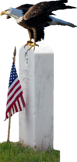 Eagle on gravestone clear