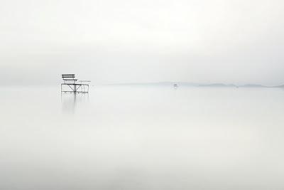 see | photography