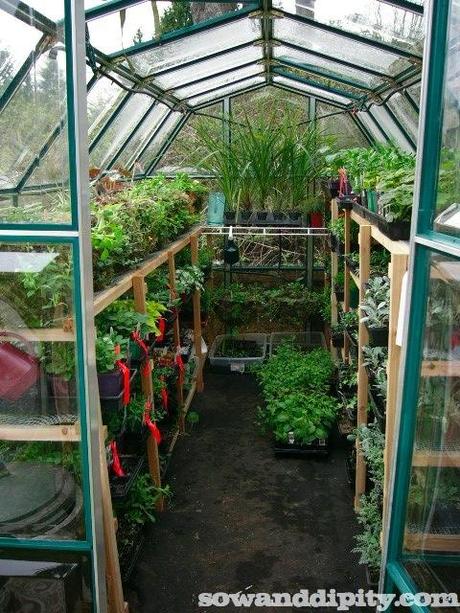 Greenhouse