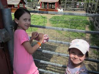 Family Fun at Centreville Amusement Park