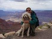 Mental Illness Travels with Driving