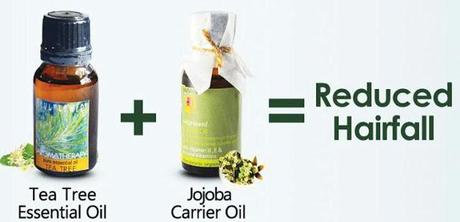 Tea Tree Essential Oil and Jojoba Carrier Oil to Reduce Hair Fall