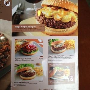 Hippopotamus_Al_Biar_Alger21