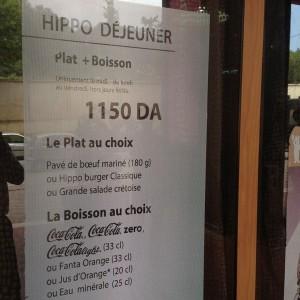 Hippopotamus_Al_Biar_Alger06