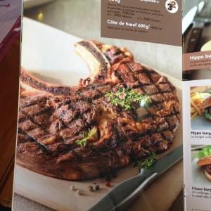 Hippopotamus_Al_Biar_Alger20