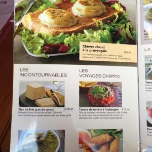 Hippopotamus_Al_Biar_Alger18