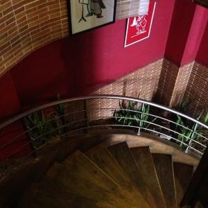 Hippopotamus_Al_Biar_Alger10