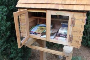 Wee Library in Downtown Park