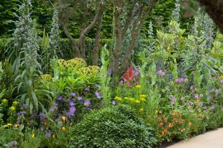 Chris Beardshaw's exuberant planting at The Chelsea Flowers show 2013