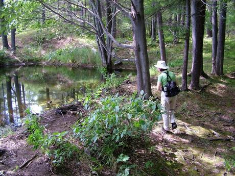 jean hiking along pond in frontenac provincial park - ontario