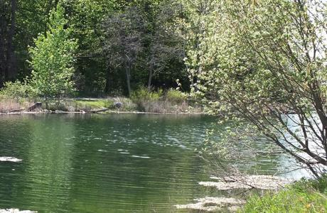 milliken park pond - looking west - toronto - ontario