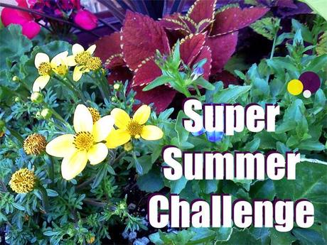 super summer challenge