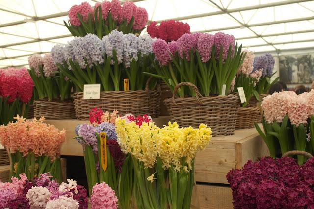 100 Years of the RHS Chelsea Flower Show