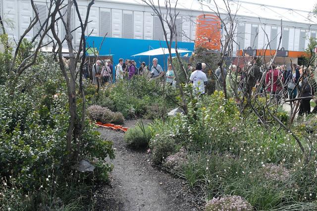 100 Years of the RHS Chelsea Flower Show