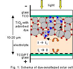 Raising the Bar on Solar cell efficiency Using Photocatalysts