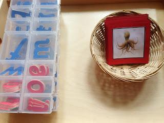 Montessori Inspired Initial Sound Cards