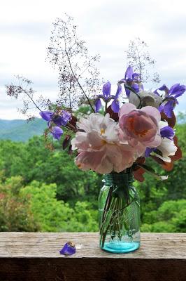 Capturing the Peonies Before the Kittehs Get Them